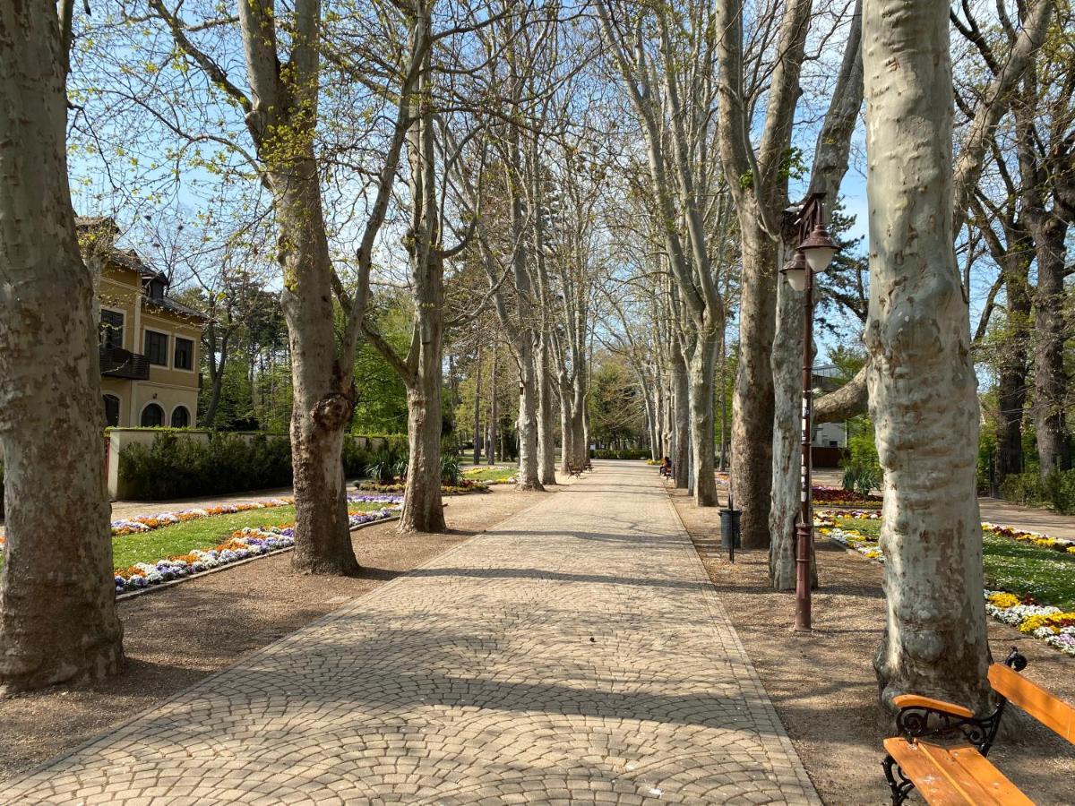 Gosztonyi Villa Шиофок Экстерьер фото